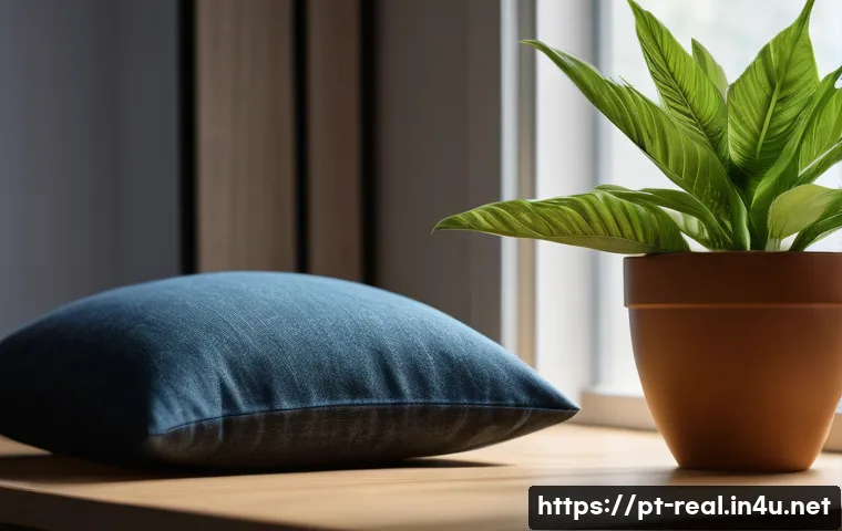 공인중개사 부동산 관련 최신 정보 관련 이미지 1